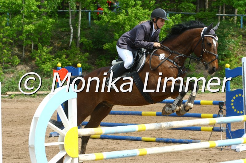 104M3376_Ecco_Punkte L.JPG